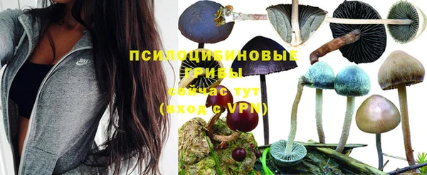 MESCALINE Белоозёрский