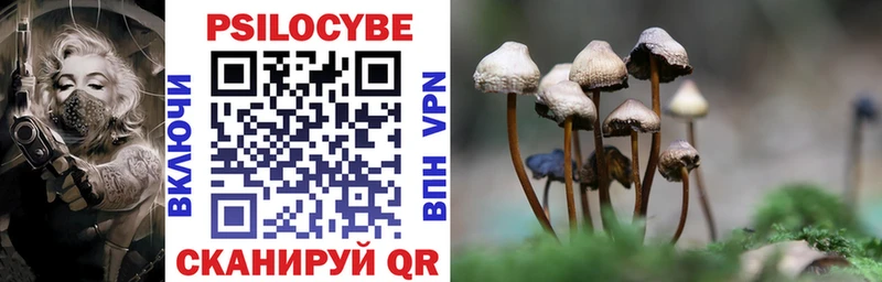 Галлюциногенные грибы Psilocybe  Шагонар 
