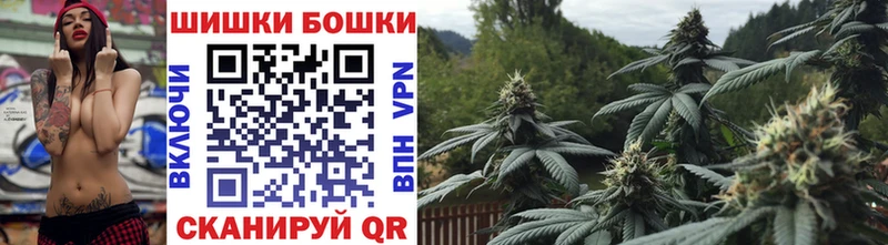 площадка официальный сайт  Шагонар  Бошки марихуана Bruce Banner 